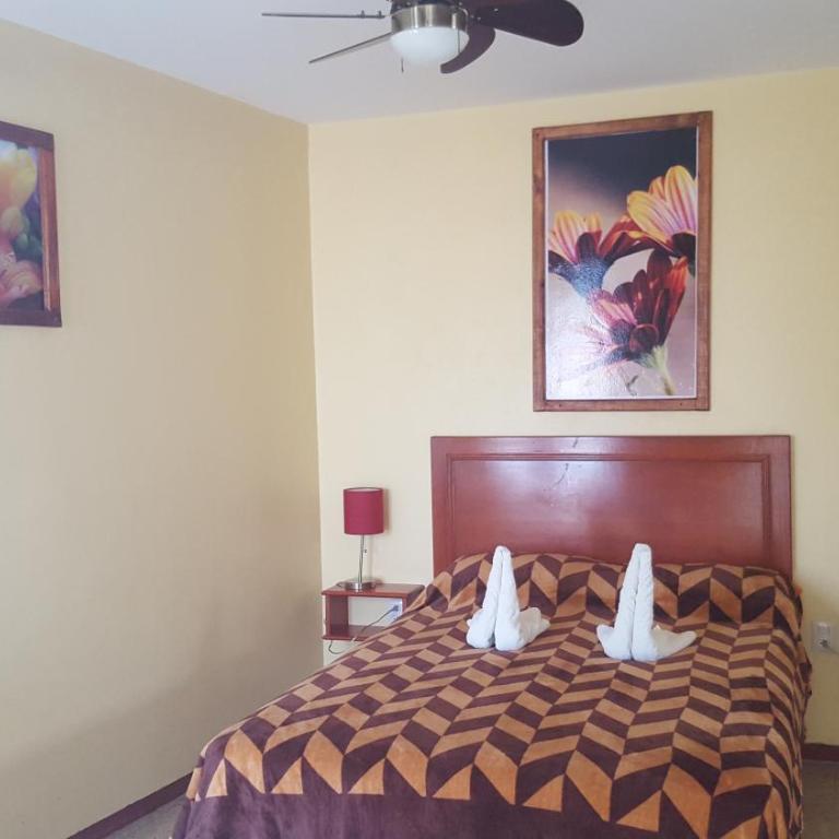 Hotel Florida Oaxaca - Habitación Doble con cama doble - 13