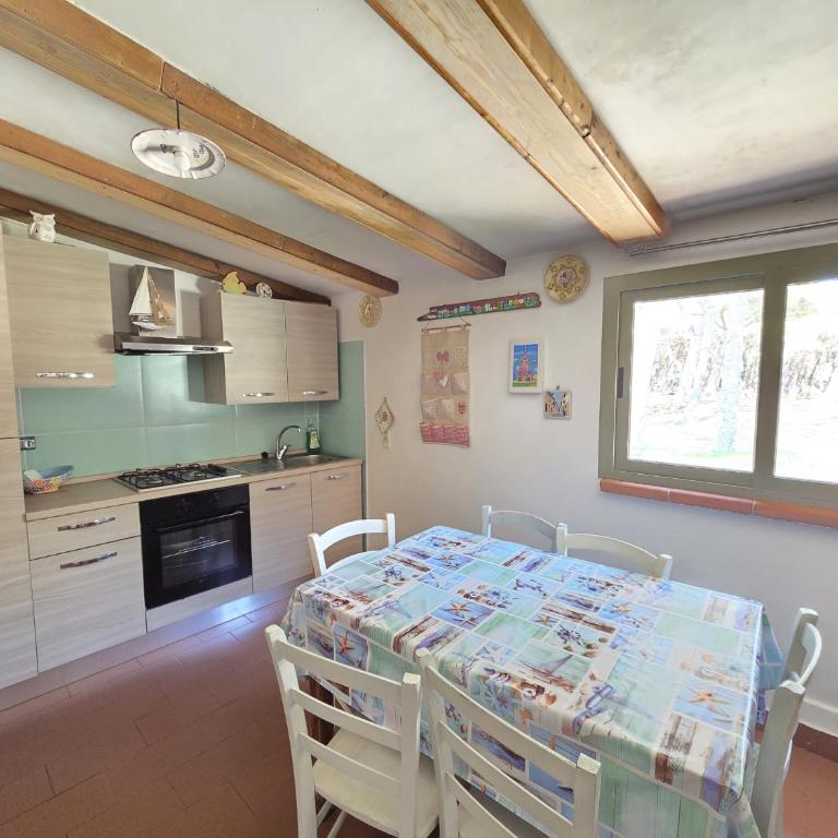 Appartamento Morelli Beach - La Baracchina sul Mare - Casa con 1 Camera da Letto - 7