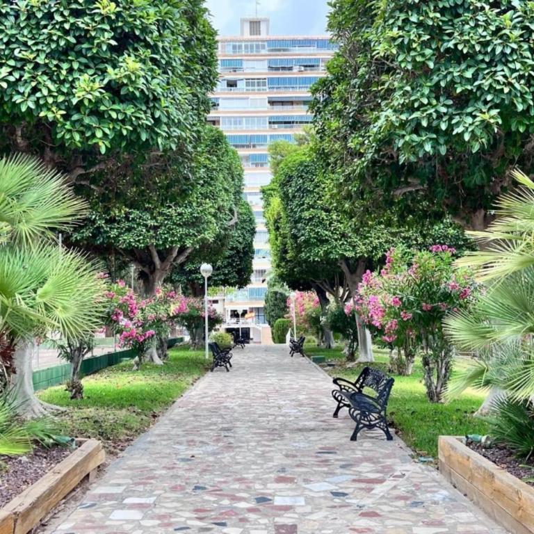Cosy flat 500 m from the beach with swimming pools and tennis court - Apartment - 48