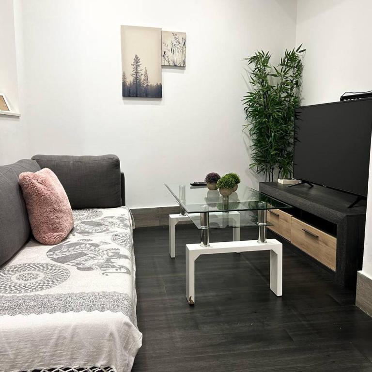Magnífico piso en el Centro - Apartment - Erdgeschoss - 16
