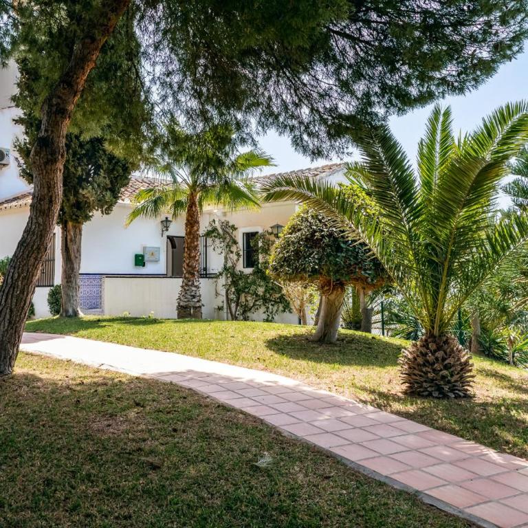 Oasis 16 - Apartamento - 32