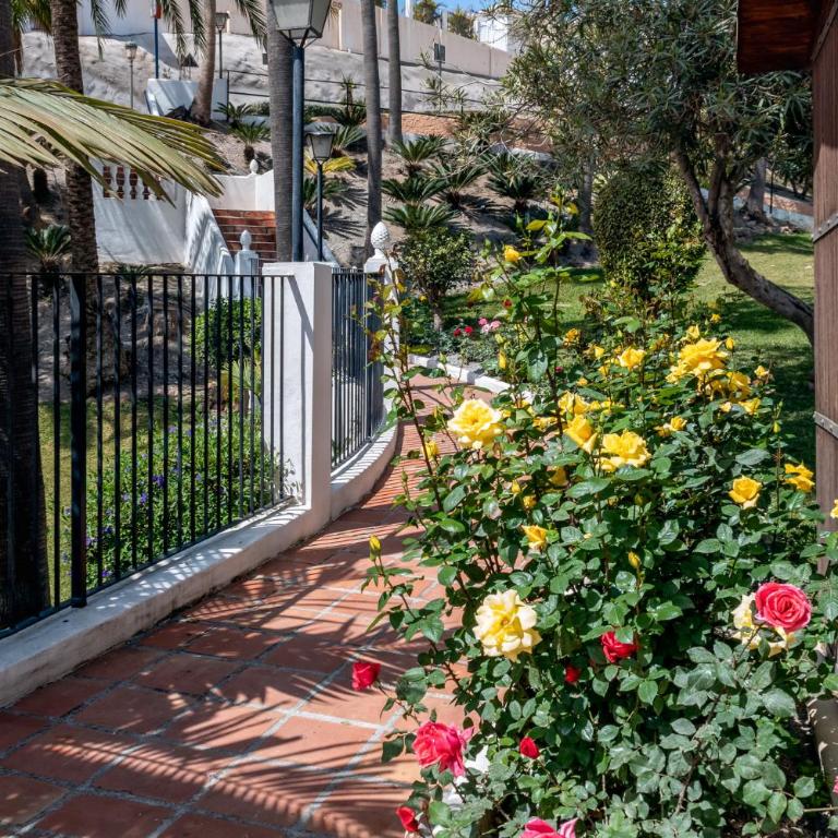 Oasis 16 - Apartamento - 34