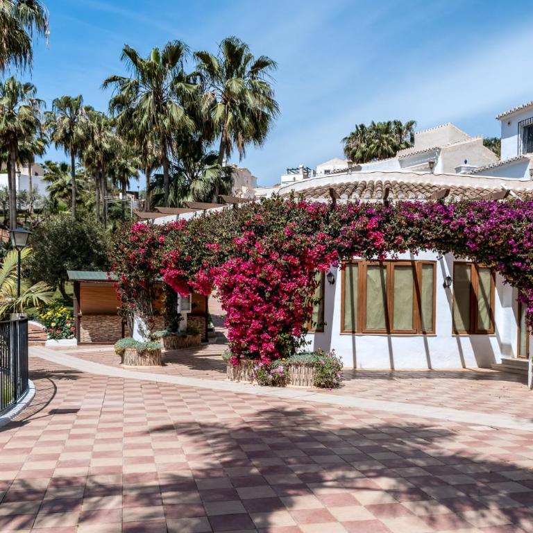 Oasis 16 - Apartamento - 33