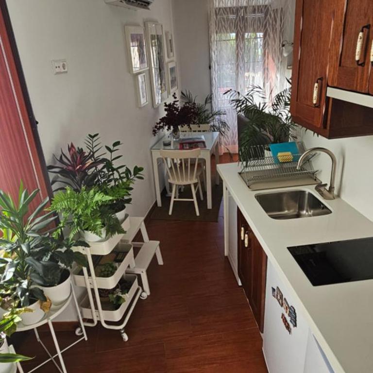 Apartamentos Los Descalzos Ángel With Private Terrace Free Parking - Apartamento de 1 dormitorio - 48