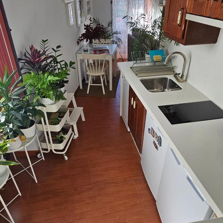 Apartamentos Los Descalzos Ángel With Private Terrace Free Parking - Apartamento de 1 dormitorio - 47
