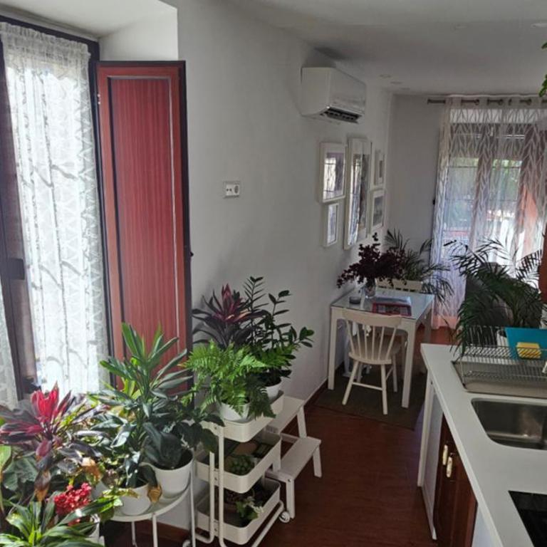 Apartamentos Los Descalzos Ángel With Private Terrace Free Parking - Apartamento de 1 dormitorio - 46