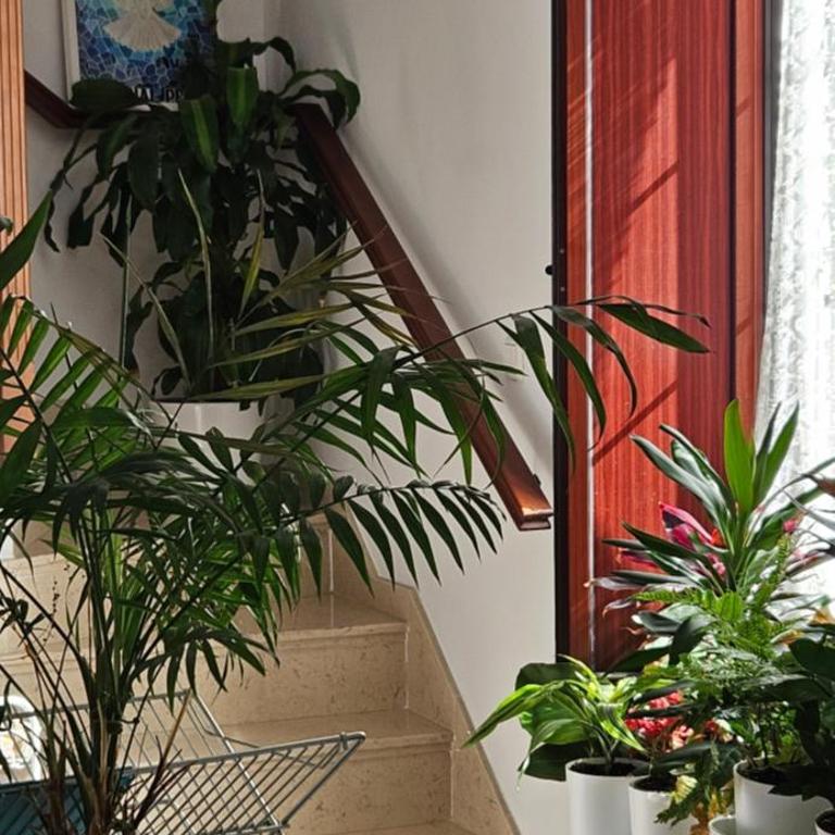 Apartamentos Los Descalzos Ángel With Private Terrace Free Parking - Apartamento de 1 dormitorio - 52
