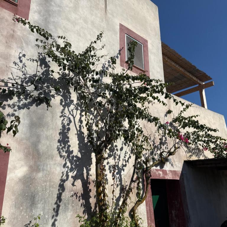 Al Palazzotto - Doppelzimmer mit eigenem Bad - 14