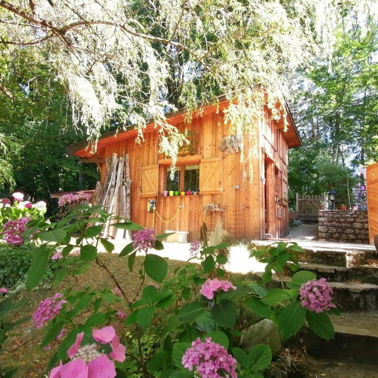 Cabane en forêt - Appartement 1 Chambre - 1
