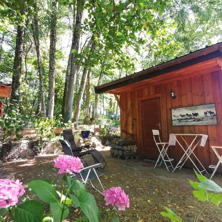 Cabane en forêt - Appartement 1 Chambre - 4