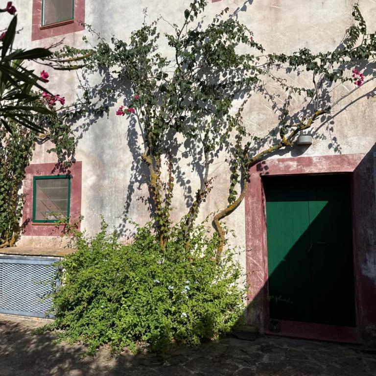 Al Palazzotto - Doppelzimmer mit eigenem Bad - 6