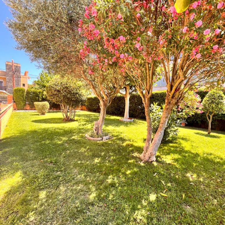 Apartamento l'Estartit - Apartamento de 3 dormitorios - 17