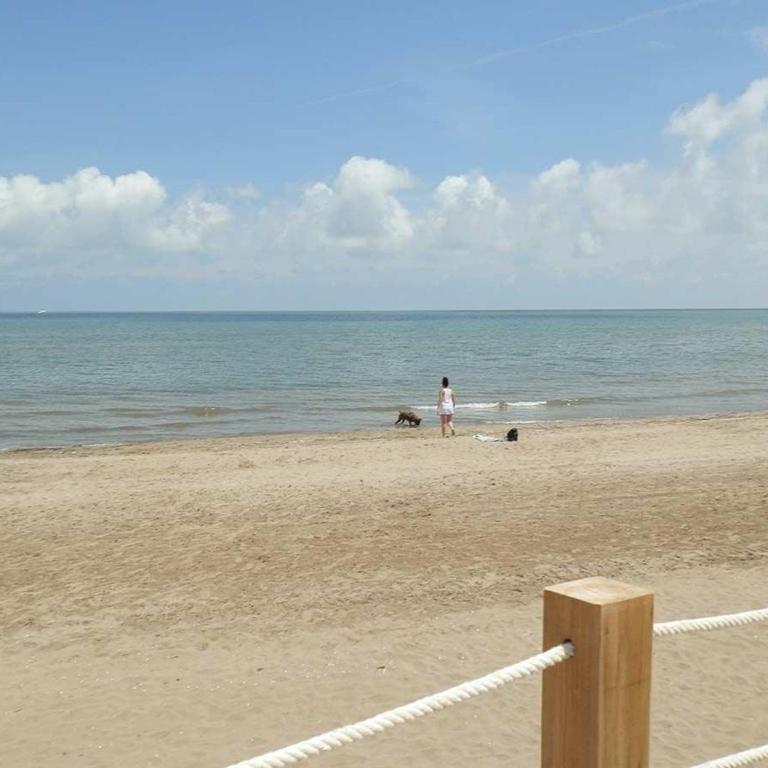 Vacaciones ideales: apto con piscina, cerca del mar, wifi, aire opcional, admite mascotas, playa perros - ES-184-11 - Apartamento - 18