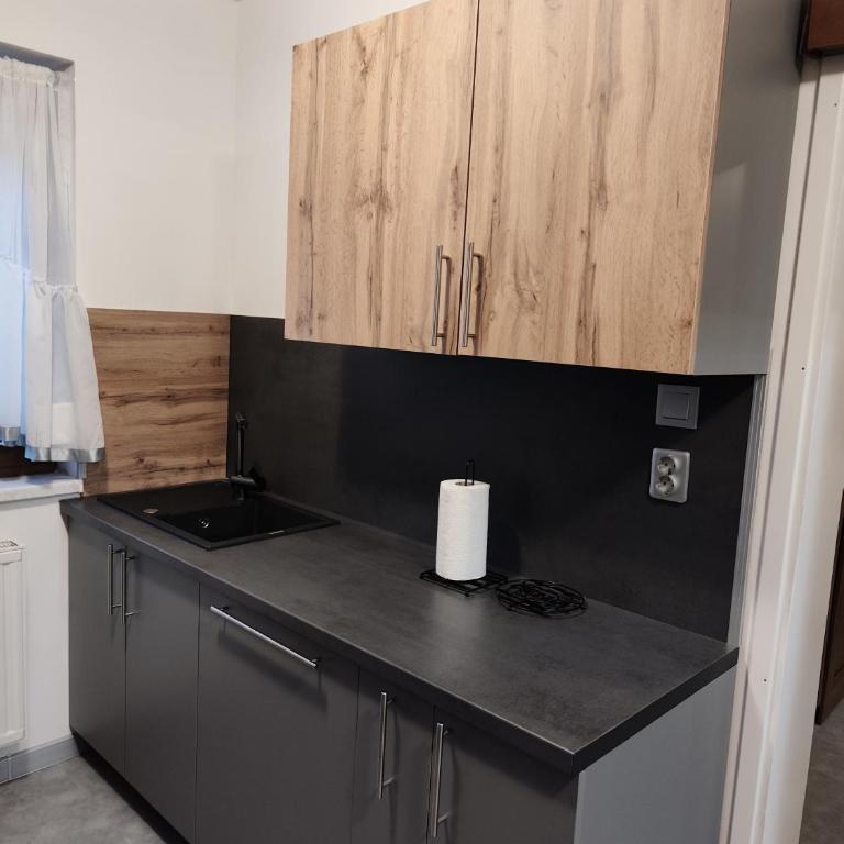 Apartman Lidija - Apartman sa 3 Spavaće Sobe i Balkonom - 22