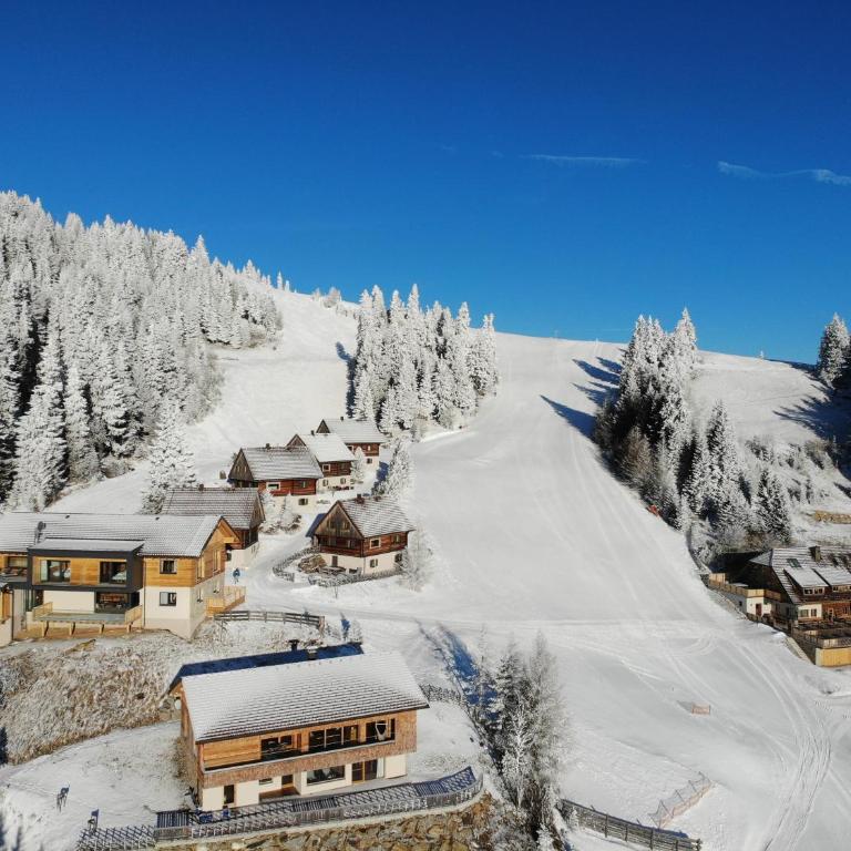 MoselebauerAlm - Chalet - 10