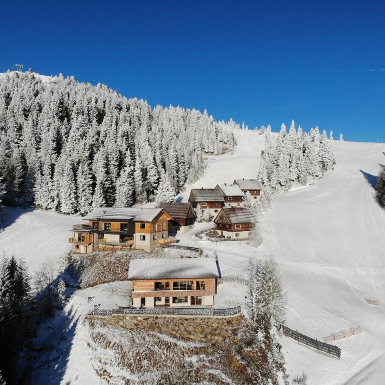 MoselebauerAlm - Superior Chalet - 1