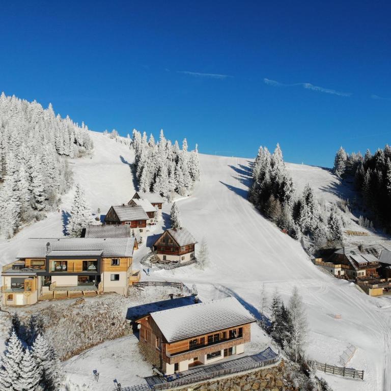 MoselebauerAlm - Superior Chalet - 23