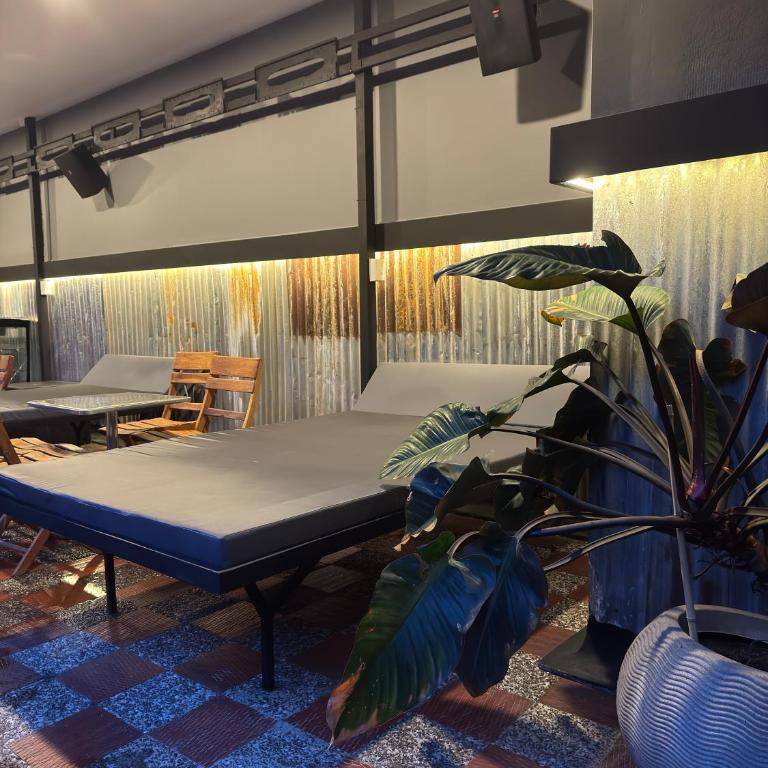 Hostel43 - Six-Bedroom House - 45