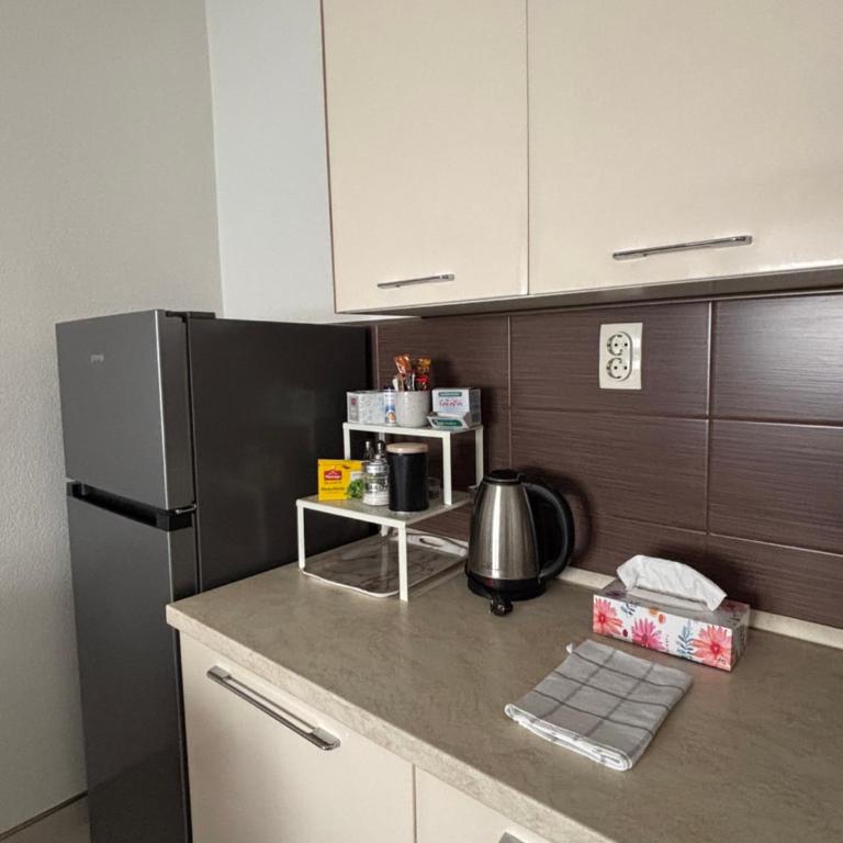Apartman Urbana Oaza - Apartman sa 1 Spavaćom Sobom - 9