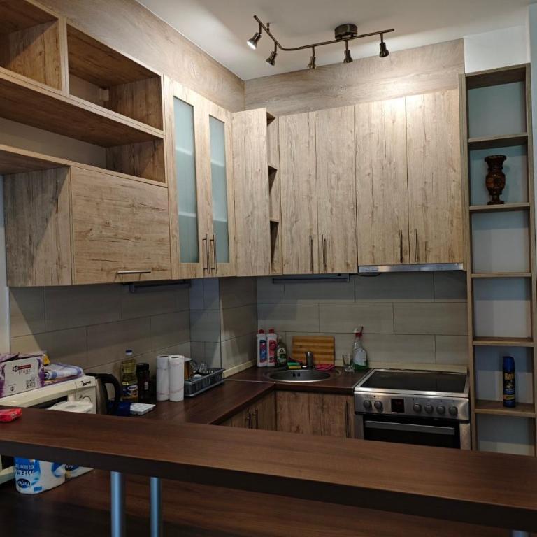 Peaceful Family Stay Ilidza with Free Parking - Apartman sa 2 Spavaće Sobe - 27