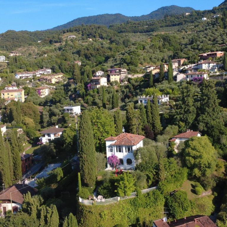 Villa Serendipità - Villa - 4