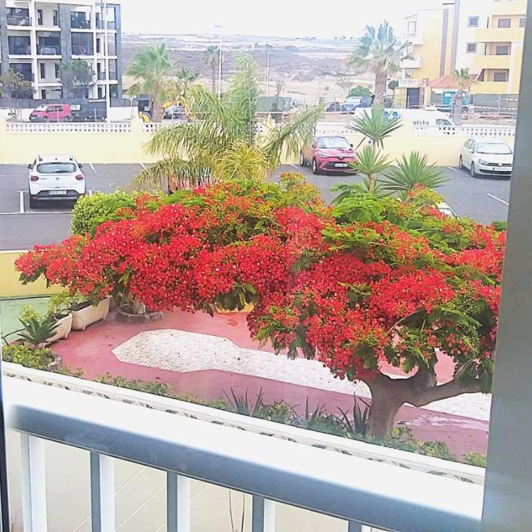 Apartamento LOLO - Apartamento de 2 dormitorios - 26