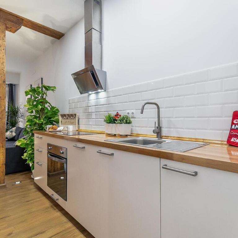 Premium Bright Apt Historic Center by TuriVida - Apartamento - 9
