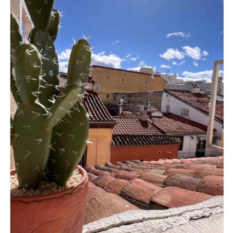 Downtown Dreams - Apartamento - 26