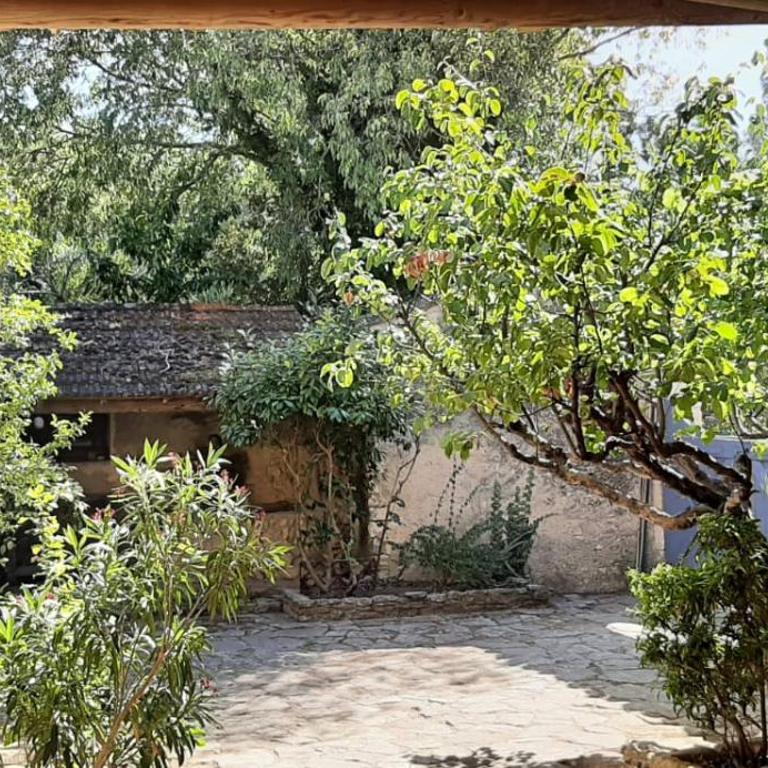 Maison de famille traditionnelle provençale - Maison 3 Chambres - 4