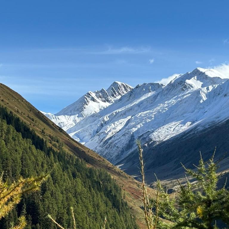 Wohnung mit schöner Sicht auf Bergpanorama und übers Tal - Apartment mit 1 Schlafzimmer - 51