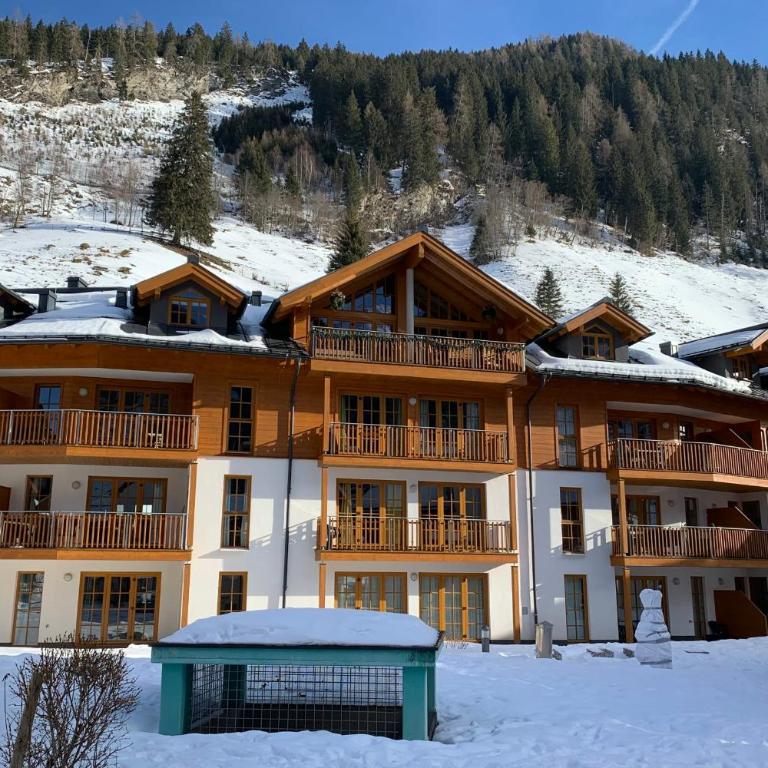 Andrea 7 by SMR Rauris Apartments close to Gondola - Apartment - 18