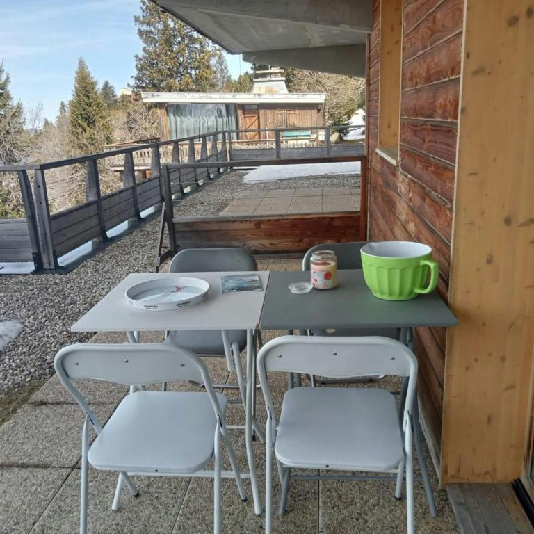Chalet Chamrousse – Balcon avec vue Proche Pistes - Appartement - 6