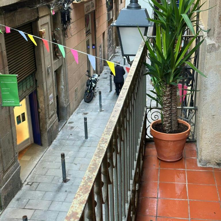 S3.Mercat Sant Antoni - Central Location. Metro L2 - Apartment - 21