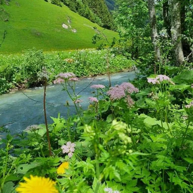 Kerstin 3 - by SMR - Close to Gondola and Spa - Apartment - 49