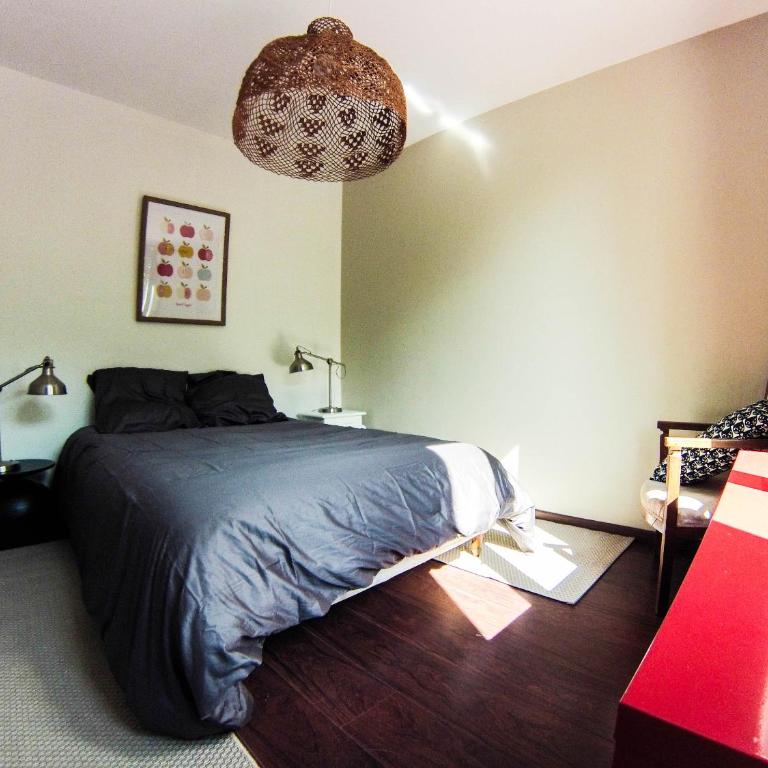 F3 - Guerin Locations Biarritz - Appartement - Rez-de-Chaussée - 9