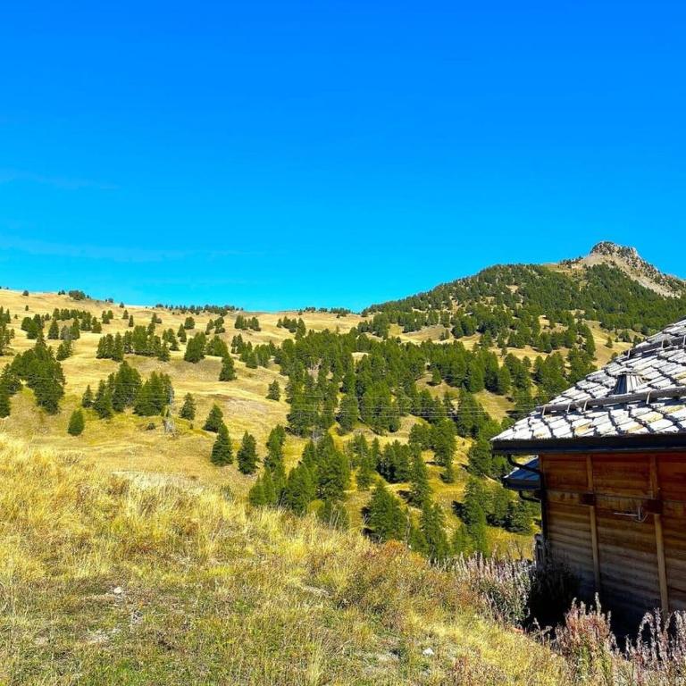 Casa-Le Cherk Chalet 300m2 jacuzzi sauna Vars - Chalet 5 Chambres - 41