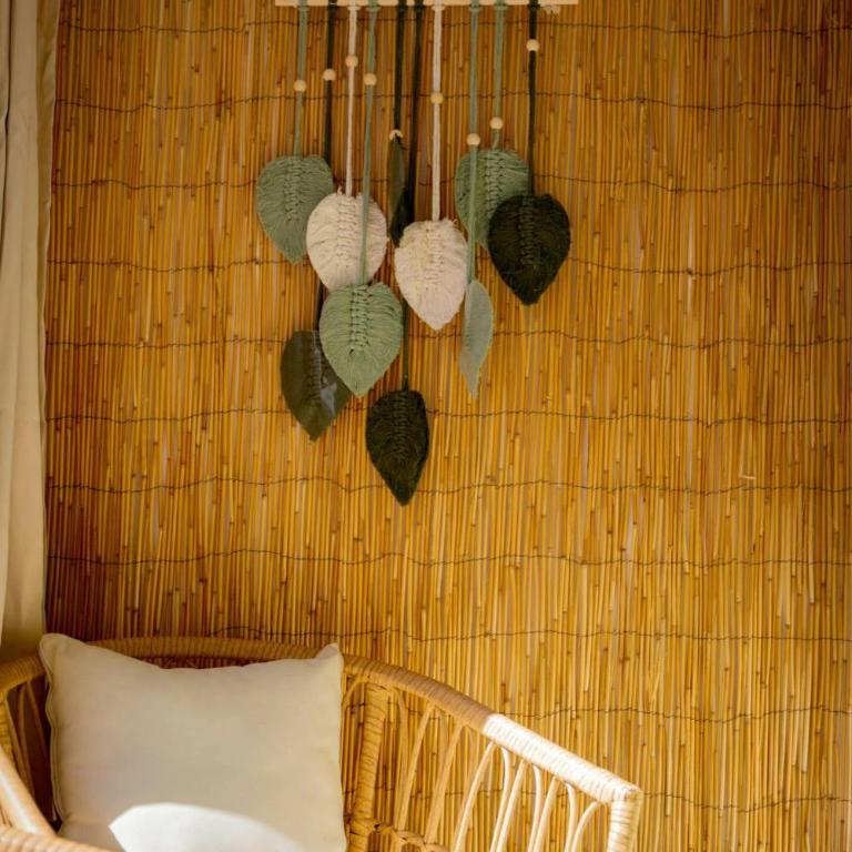 Le cosy - Appartement - 33