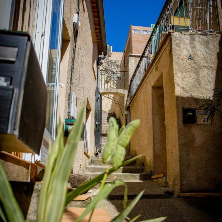 Le cosy - Appartement - 54