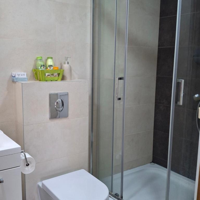Apartman & Spa Zlatiborske zore - One-Bedroom Apartment - 14