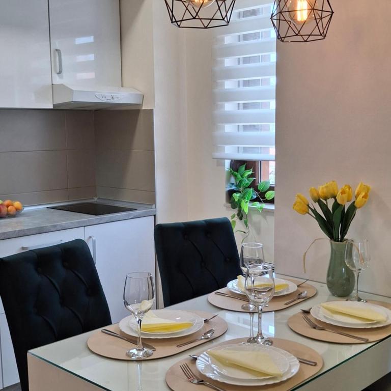 Apartman & Spa Zlatiborske zore - One-Bedroom Apartment - 7
