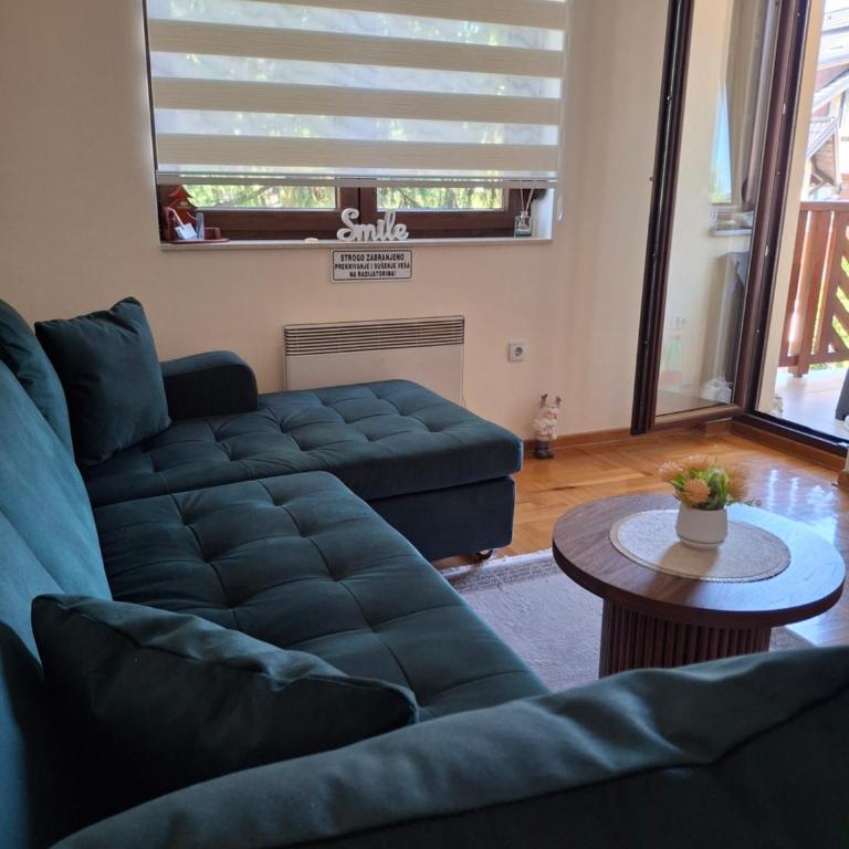 Apartman & Spa Zlatiborske zore - One-Bedroom Apartment - 2