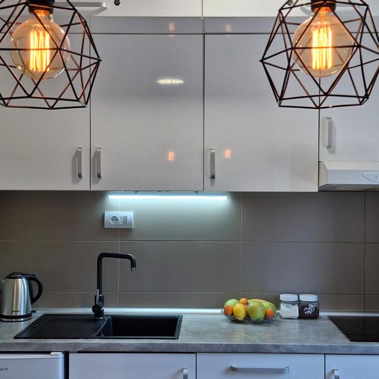Apartman & Spa Zlatiborske zore - One-Bedroom Apartment - 8
