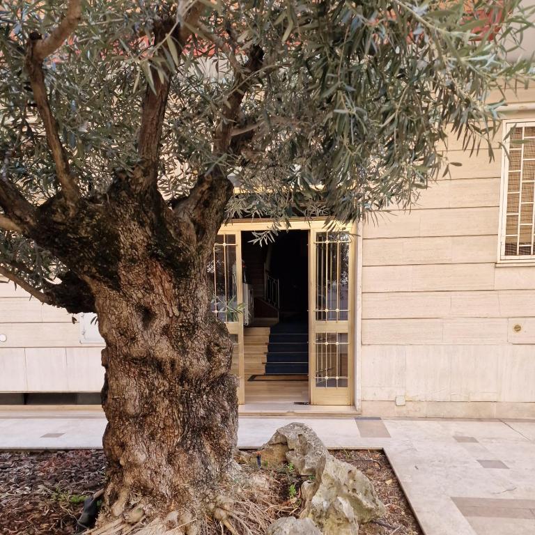 Ponte Lungo Guest House - Appartamento Deluxe con 3 Camere da Letto - 33
