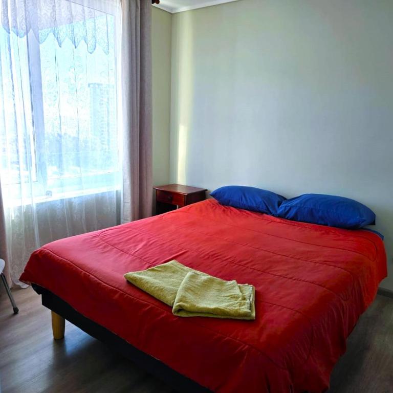 Calma Bahía - One-Bedroom Apartment - 4