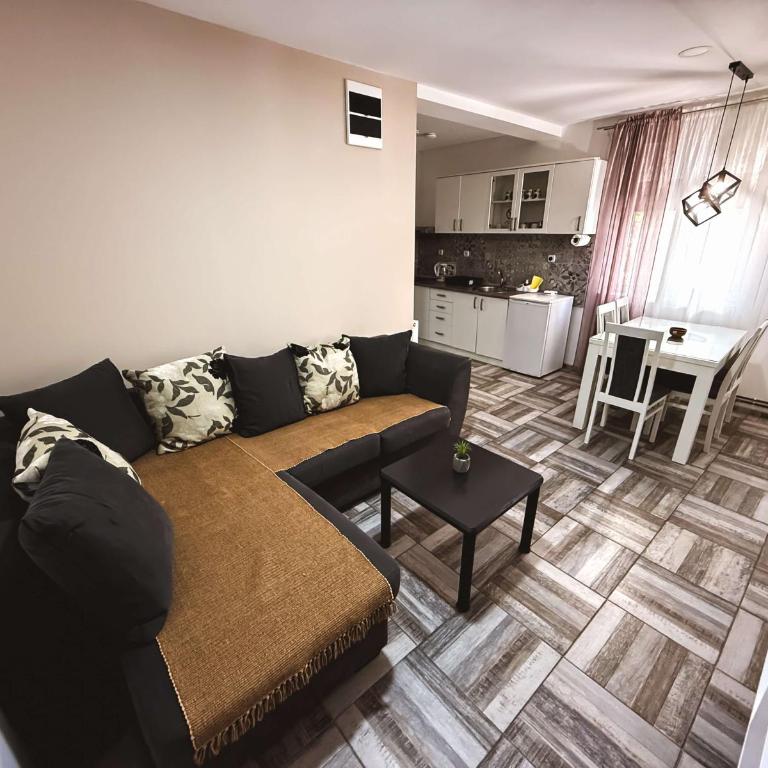 Apartments Velickovic - Apartman - 8