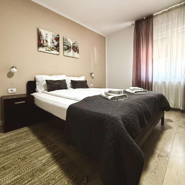 Apartments Velickovic - Apartman - 3