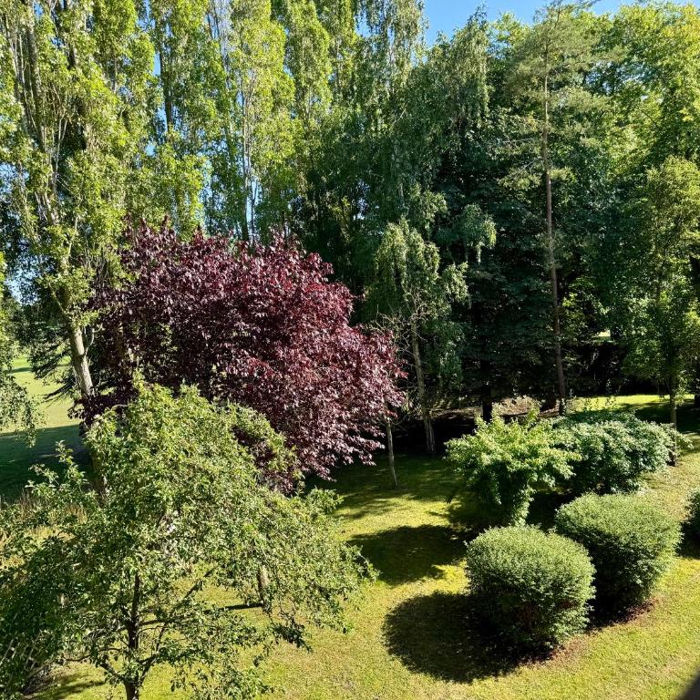 L'Escale à Deauville - Apartment mit 2 Schlafzimmern - 27
