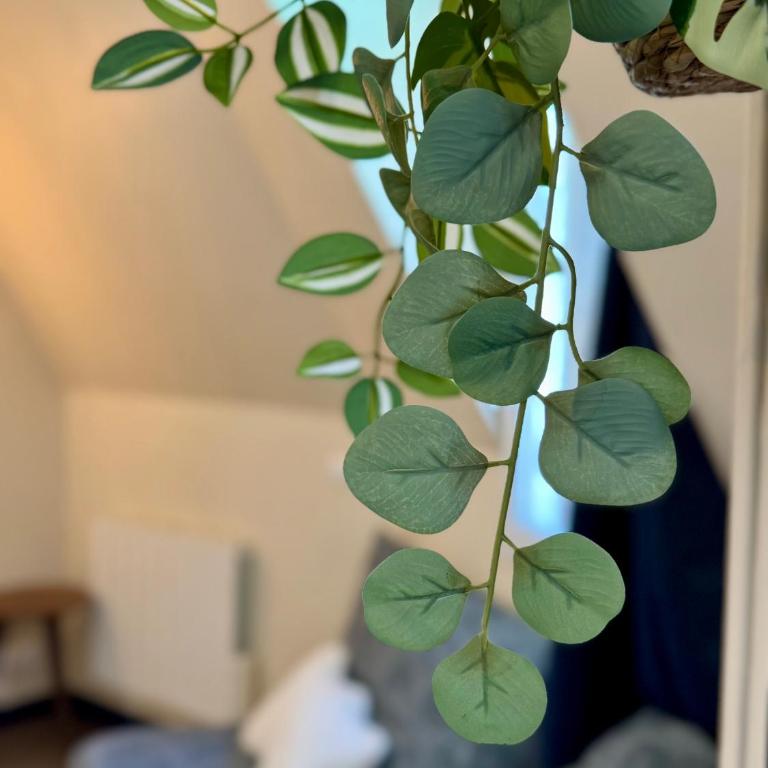 L'Escale à Deauville - Apartment mit 2 Schlafzimmern - 28