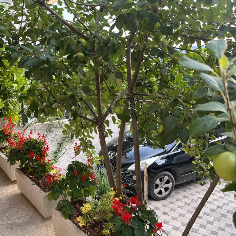 Farah Apartment - Two-Bedroom Apartment - 31