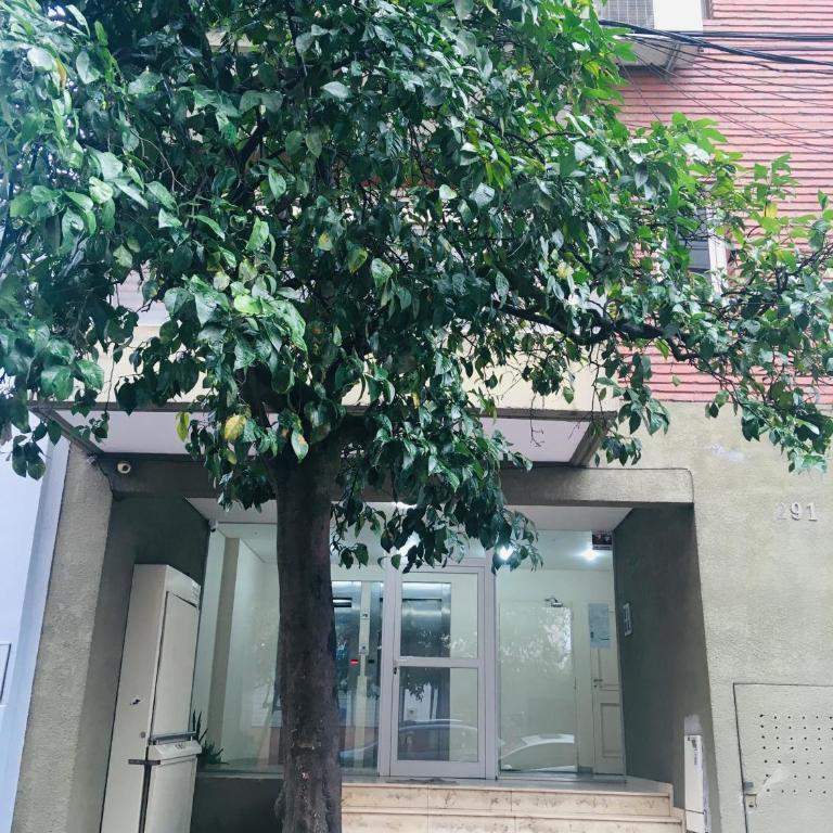 Lamadrid - One-Bedroom Apartment - 9